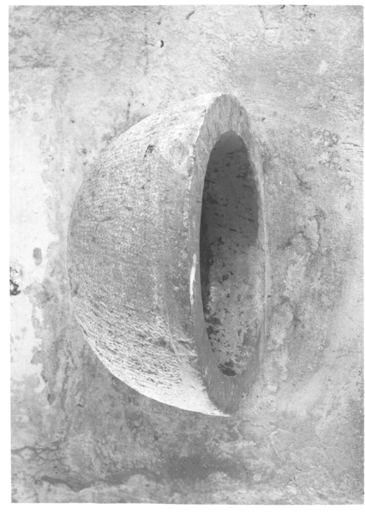 acquasantiera da parete - ambito Italia nord-orientale (secc. XVI/ XVII)