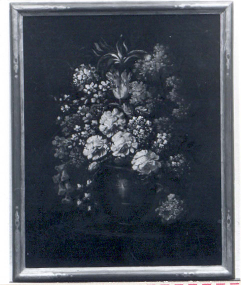 fiori in vaso, fiori (dipinto) - ambito lombardo (prima metà sec. XVIII)