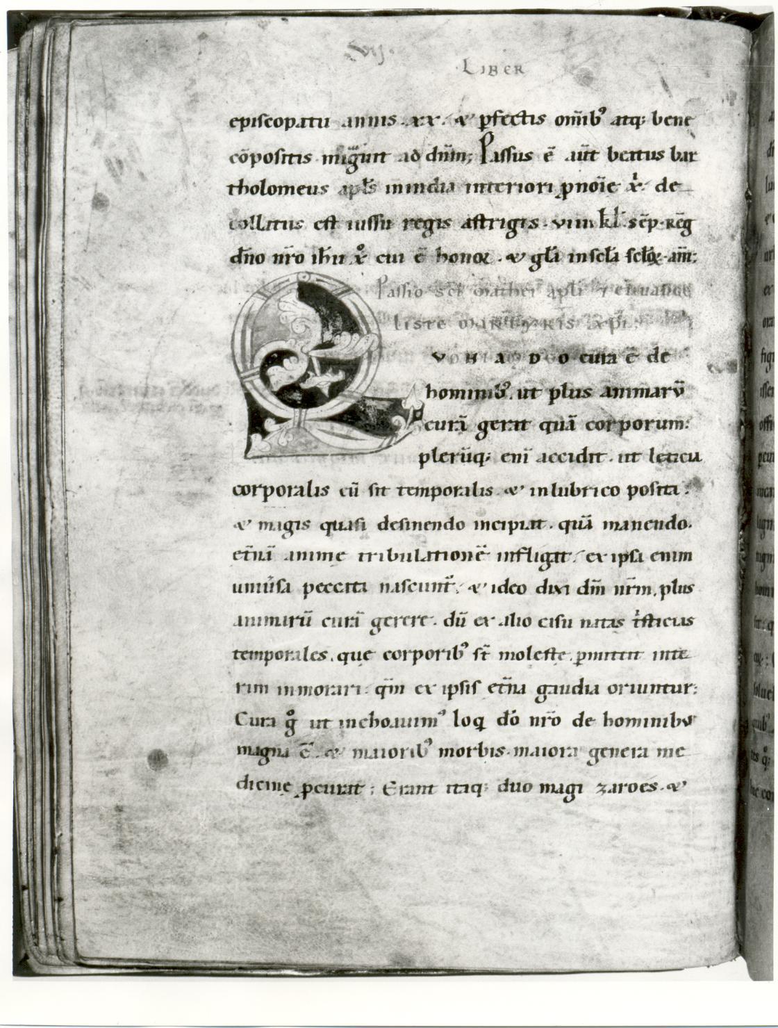 libretto - ambito Italia settentrionale (sec. XI)