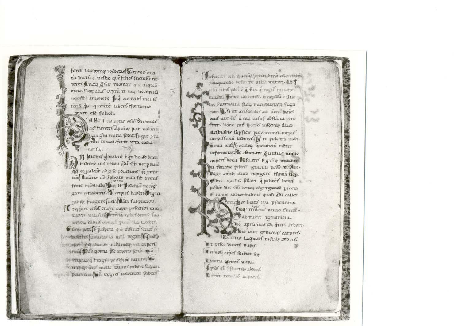 libretto - ambito friulano (sec. XIII)