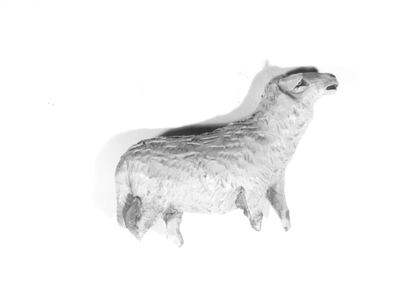 Pecora (statuetta di presepio) - ambito Italia nord-orientale (prima metà sec. XX)