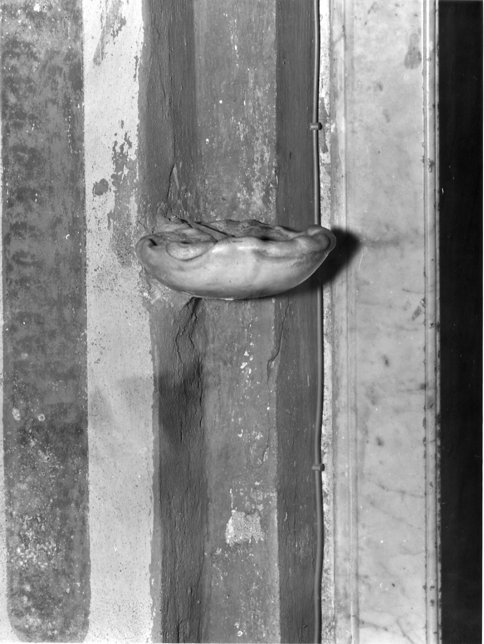 acquasantiera da parete, opera isolata - bottega italiana (metà sec. XVII)