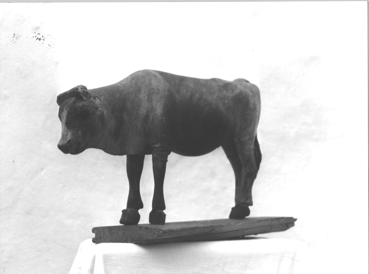 bue (statuetta di presepio, elemento d'insieme) di Maragliano Anton Maria (bottega) (fine/inizio secc. XVII/ XVIII)