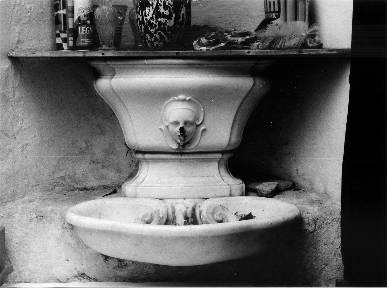 conchiglia/ cherubino (fontanella, insieme) - manifattura ligure (metà, seconda metà sec. XVIII, sec. XIX)