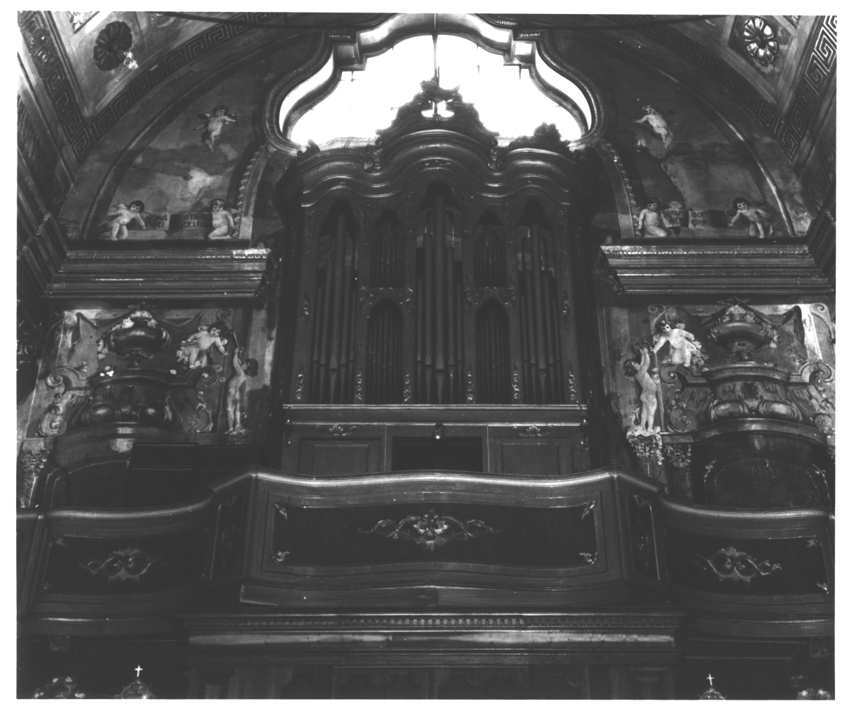 motivo decorativo vegetale/ motivo decorativo a volute (organo, opera isolata) - bottega ligure (sec. XVII)