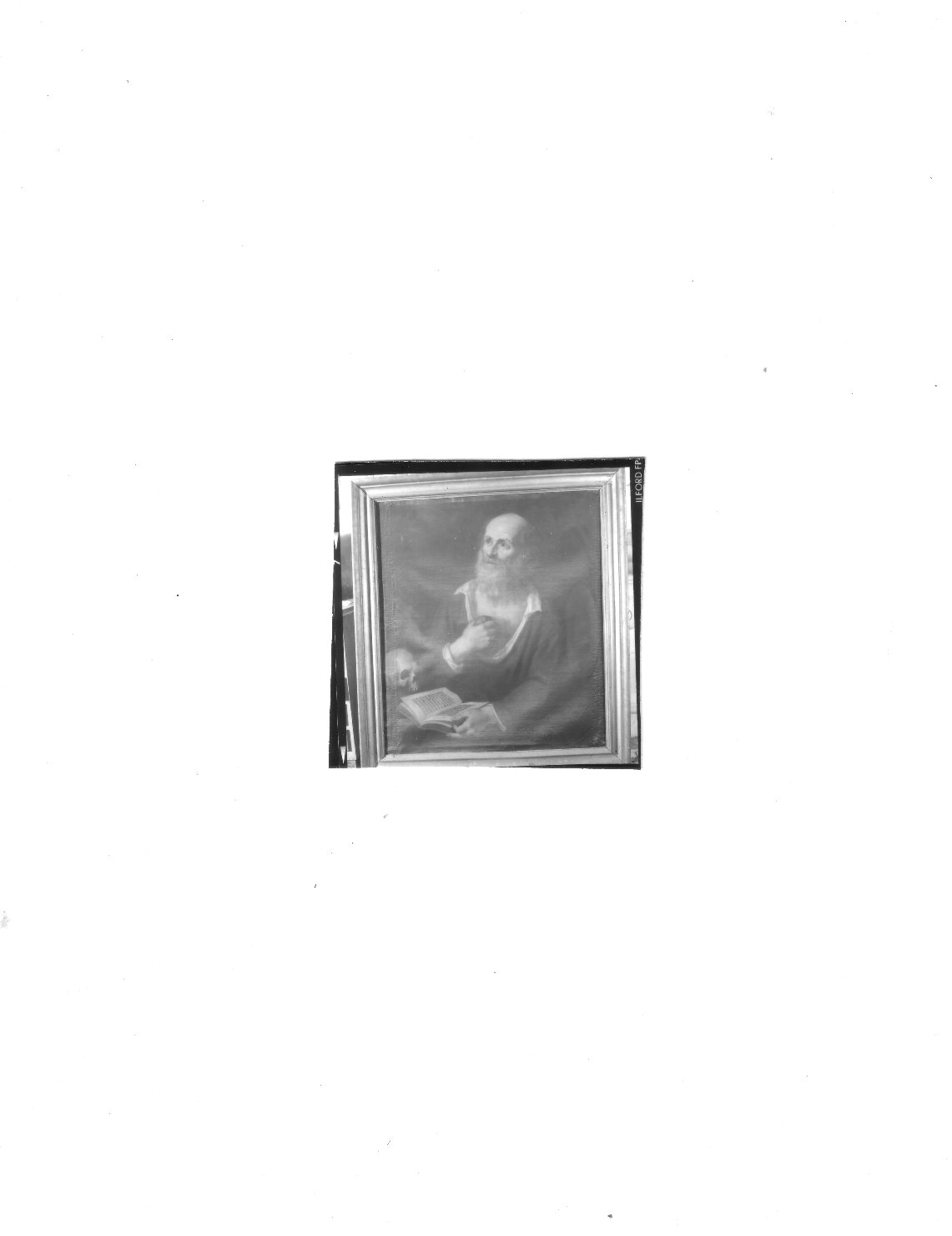 San Girolamo penitente (dipinto, opera isolata) - ambito ligure (secc. XVII/ XVIII)