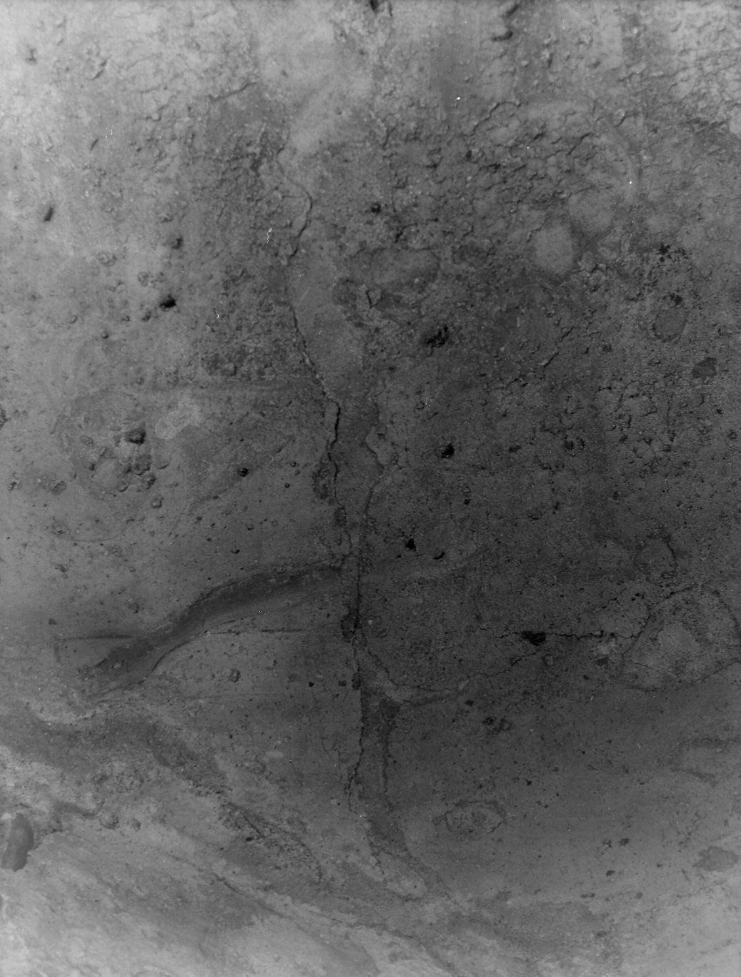 crocifissione/ Madonna/ Santi (dipinto, frammento) - ambito padano (secc. XIV/ XV)