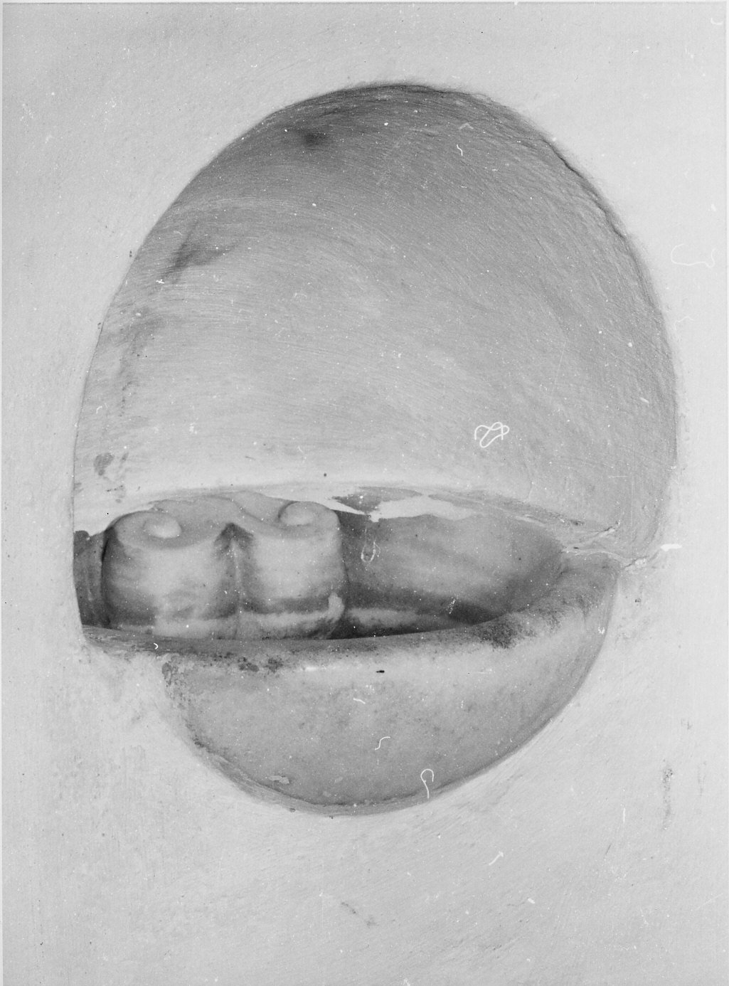 acquasantiera, opera isolata - bottega ligure (sec. XIX)