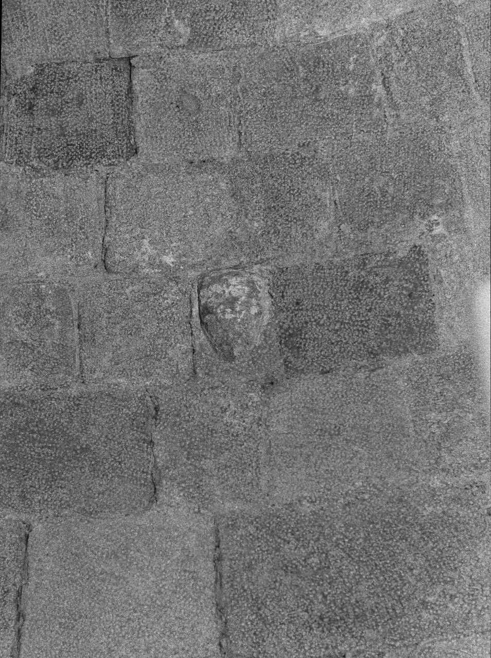 testa d'uomo (scultura, opera isolata) - bottega ligure (sec. VII, sec. XI)