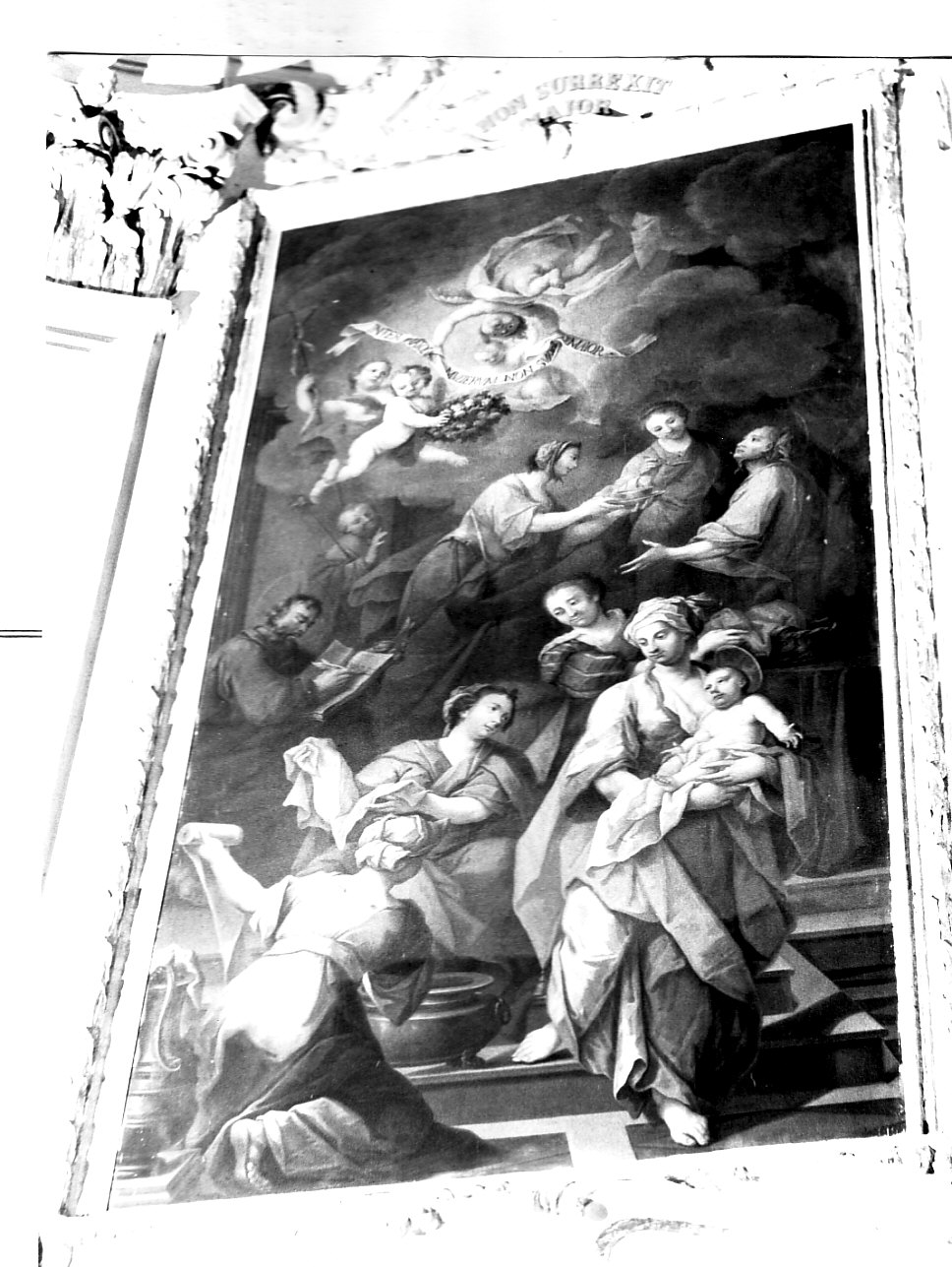 nascita di San Giovanni Battista (dipinto, opera isolata) di Tori Giuseppe (attribuito) (seconda metà sec. XVIII)