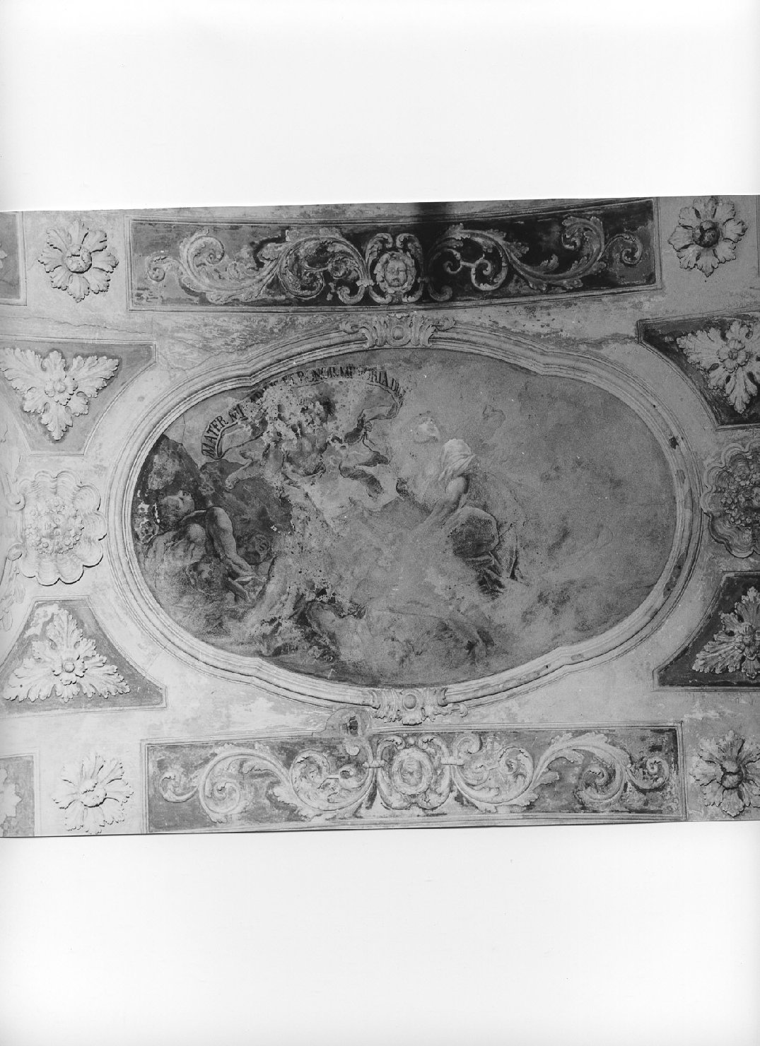 Madonna della Misericordia (decorazione pittorica, elemento d'insieme) di Carrega Maurizio (sec. XVIII)