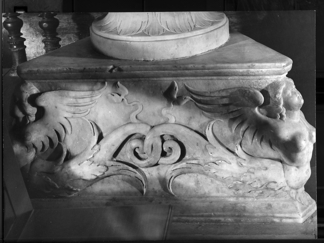 motivi decorativi vegetali con figure alate (basamento, elemento d'insieme) di Aprile Anton Maria, Molinari Giovanni Angelo (sec. XVI)
