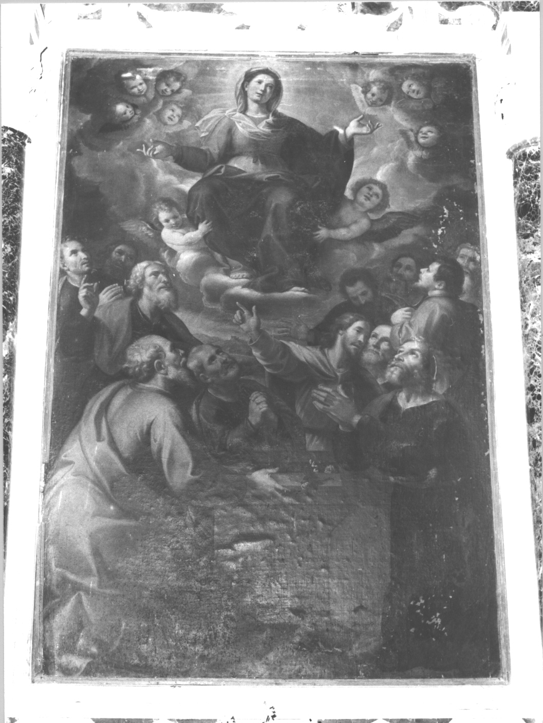assunzione della Madonna (dipinto, opera isolata) di Carlone Giovanni detto Genovese (attribuito) (sec. XVII)