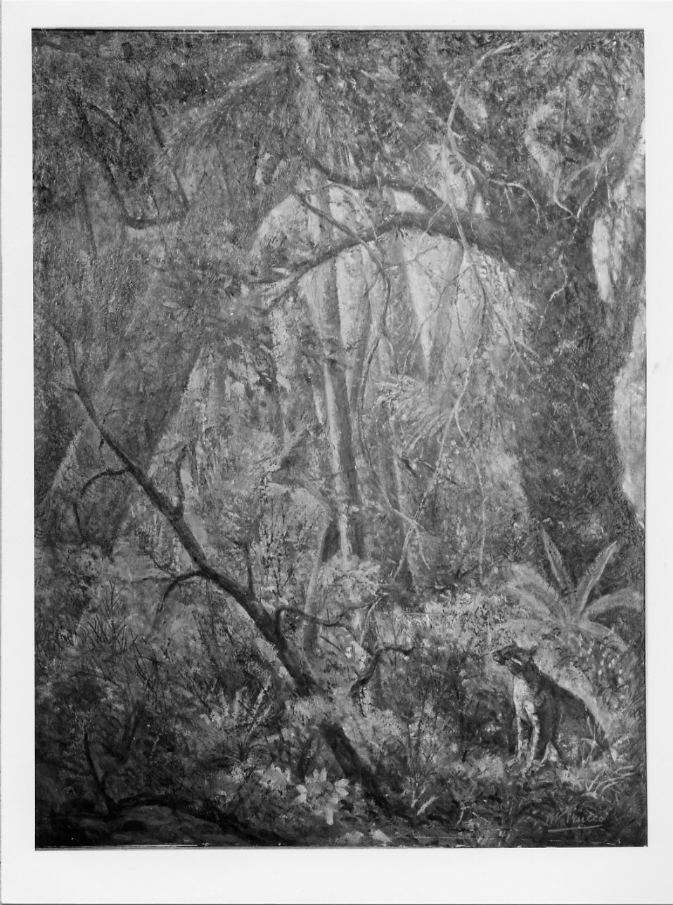 Foresta con gatto tigre, paesaggio con animali (dipinto, opera isolata) di Trucco Manlio (sec. XX)