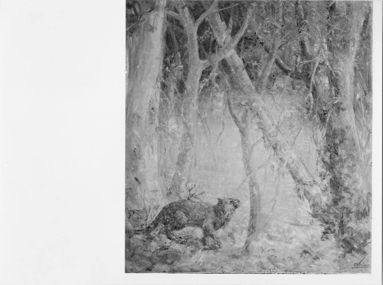 Gatto selvatico, paesaggio con animali (dipinto, opera isolata) di Trucco Manlio (sec. XX)