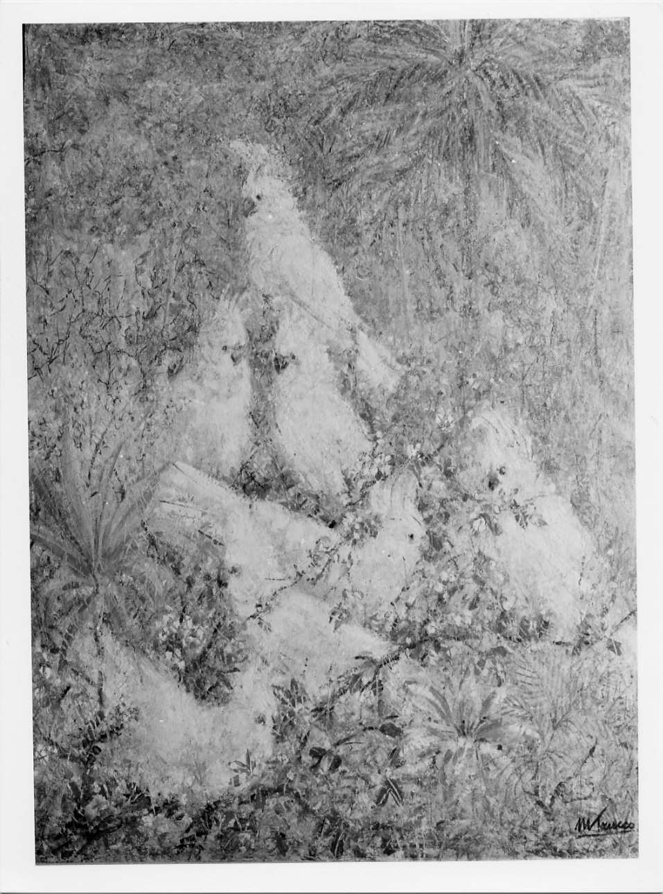 Cacatue in siesta, paesaggio con animali (dipinto, opera isolata) di Trucco Manlio (sec. XX)