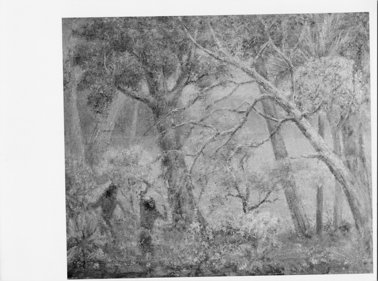 Pinheiro, isola bella, paesaggio con figure (dipinto, opera isolata) di Trucco Manlio (sec. XX)