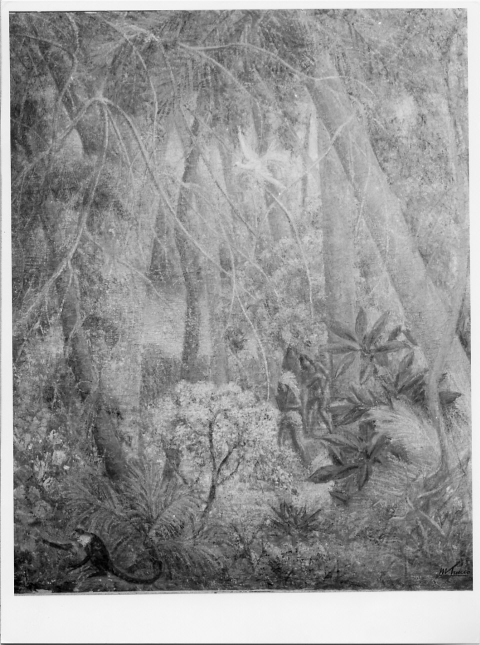 In riva al Guajarà, paesaggio con alberi (dipinto, opera isolata) di Trucco Manlio (sec. XX)