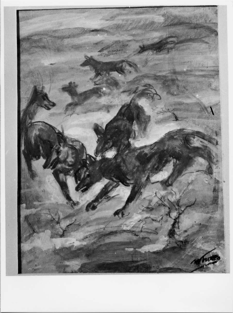 Lupi, animali (dipinto, opera isolata) di Trucco Manlio (sec. XX)