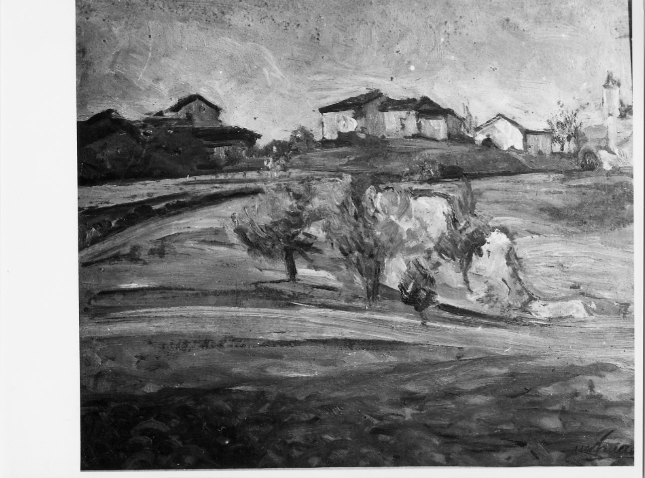 Paesaggio a Pareto, paesaggio rurale (dipinto, opera isolata) di Trucco Manlio (terzo quarto sec. XX)