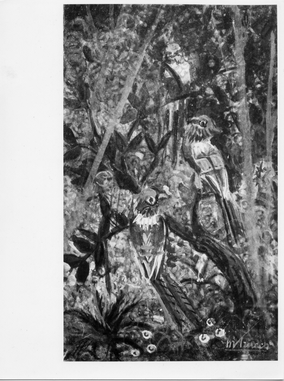 Pappagalli, paesaggio con animali (dipinto, opera isolata) di Trucco Manlio (sec. XX)