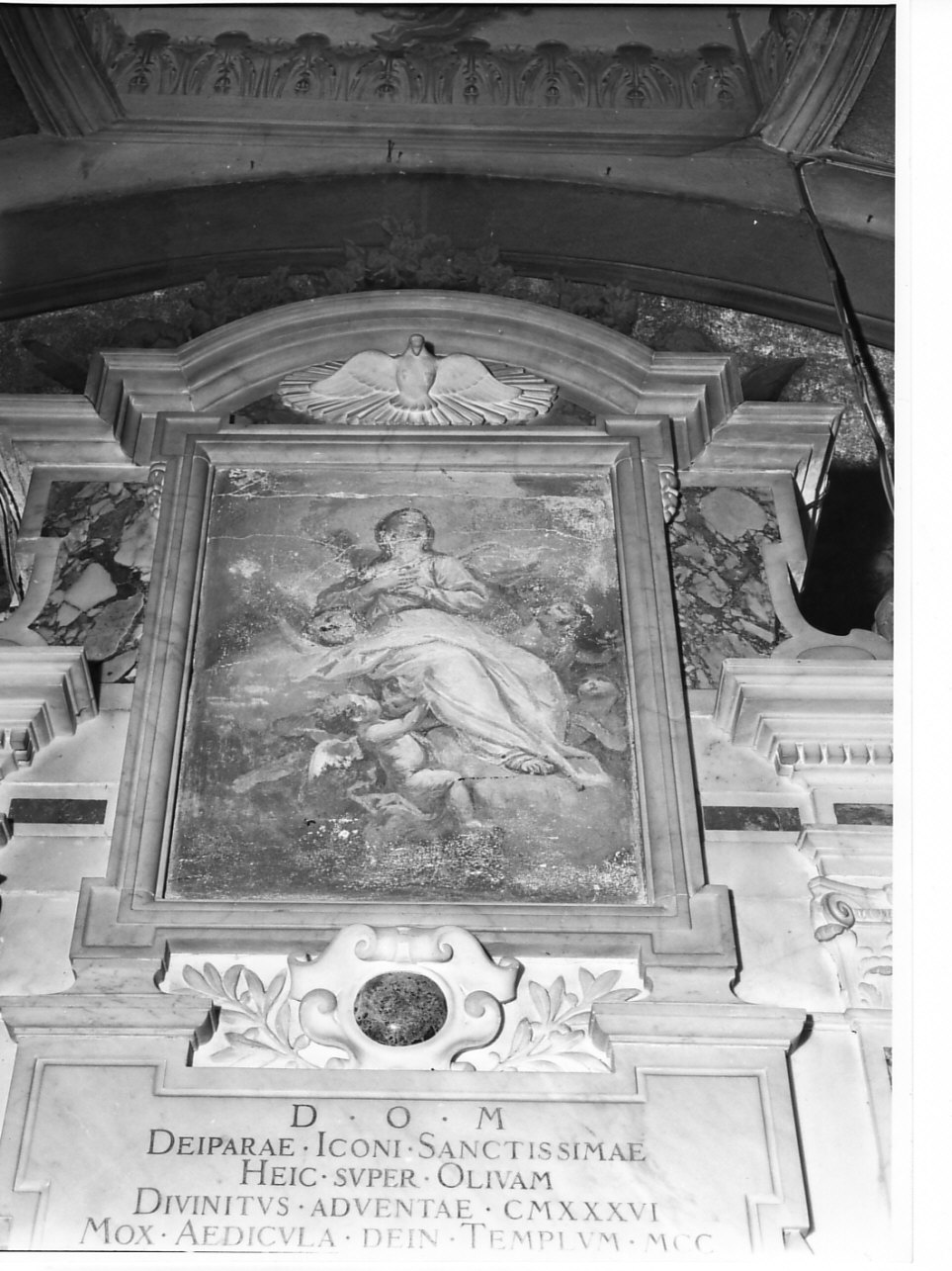 assunzione della Madonna (dipinto, opera isolata) - ambito italiano (sec. XVIII)