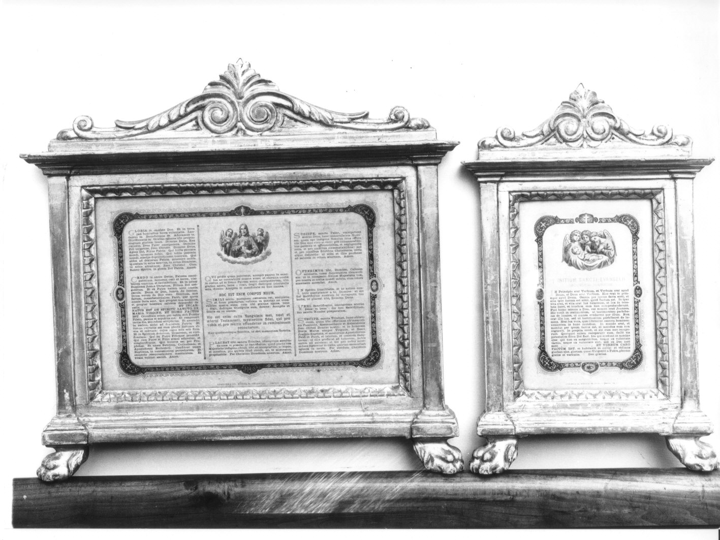 motivi decorativi vegetali (servizio di cartagloria, insieme) - bottega ligure (sec. XIX)