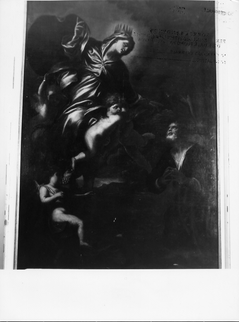 Madonna della Misericordia (dipinto, opera isolata) di Piola Domenico (fine sec. XVII)