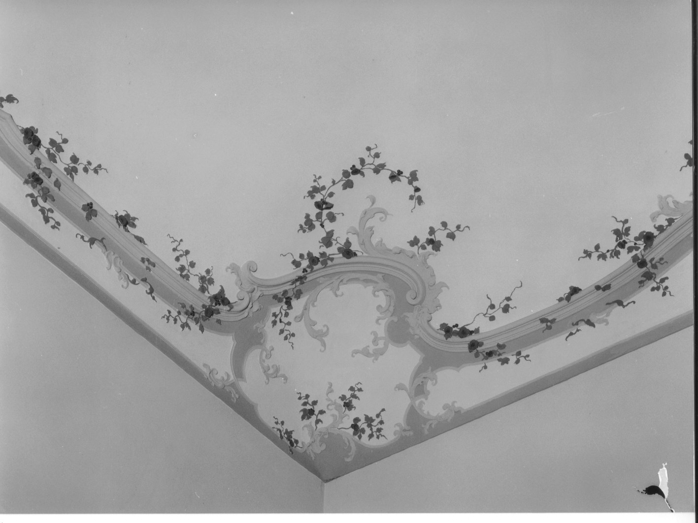 motivi decorativi vegetali (decorazione plastico-pittorica, opera isolata) - bottega ligure (prima metà sec. XIX)