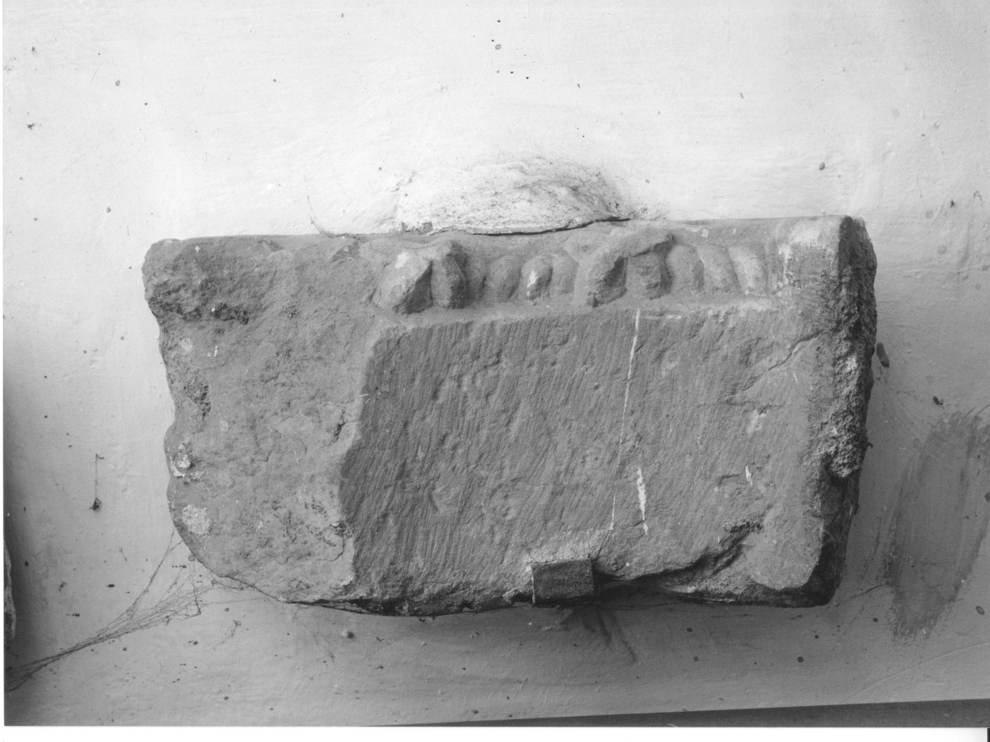 motivi decorativi floreali (decorazione plastica, frammento) - bottega italiana (sec. XIV)