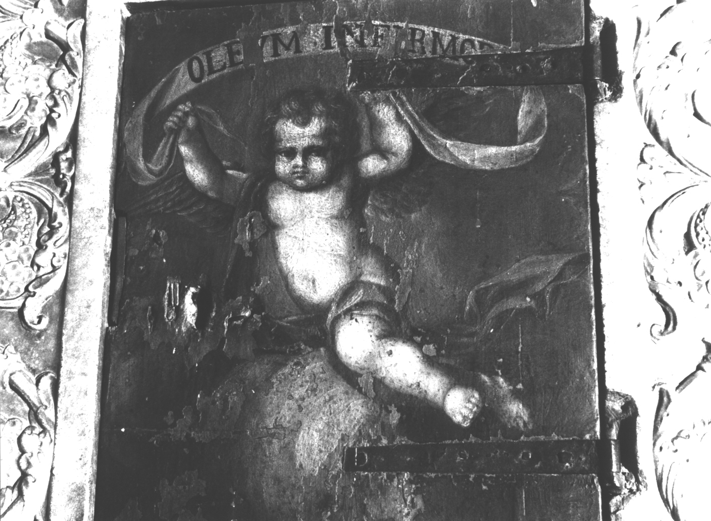 angioletto reggicartiglio (dipinto, elemento d'insieme) - ambito italiano (fine sec. XVI)