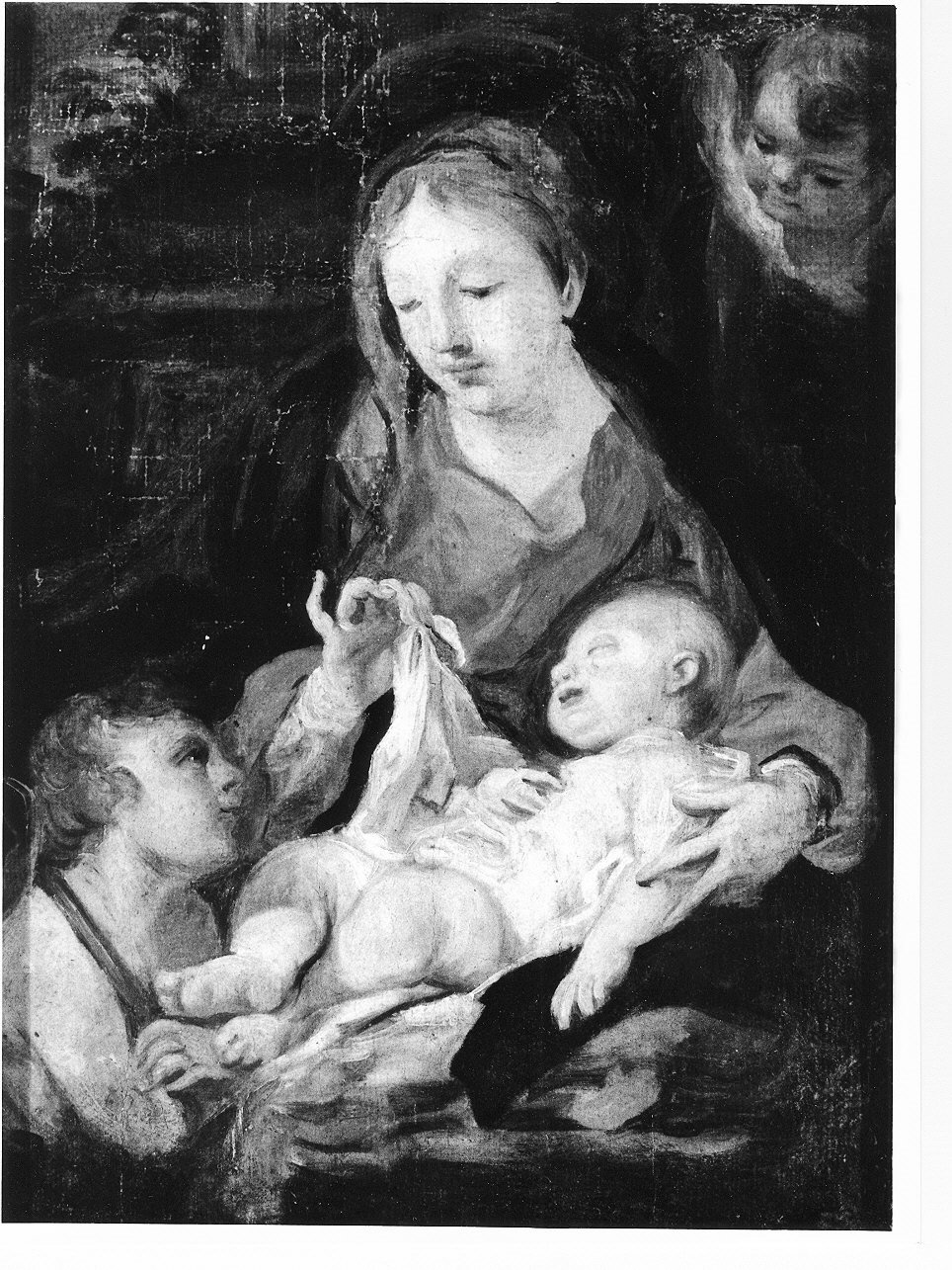 Madonna con Bambino e San Giovannino (dipinto, opera isolata) di Van Dyck Antoon (scuola) (prima metà sec. XVII)
