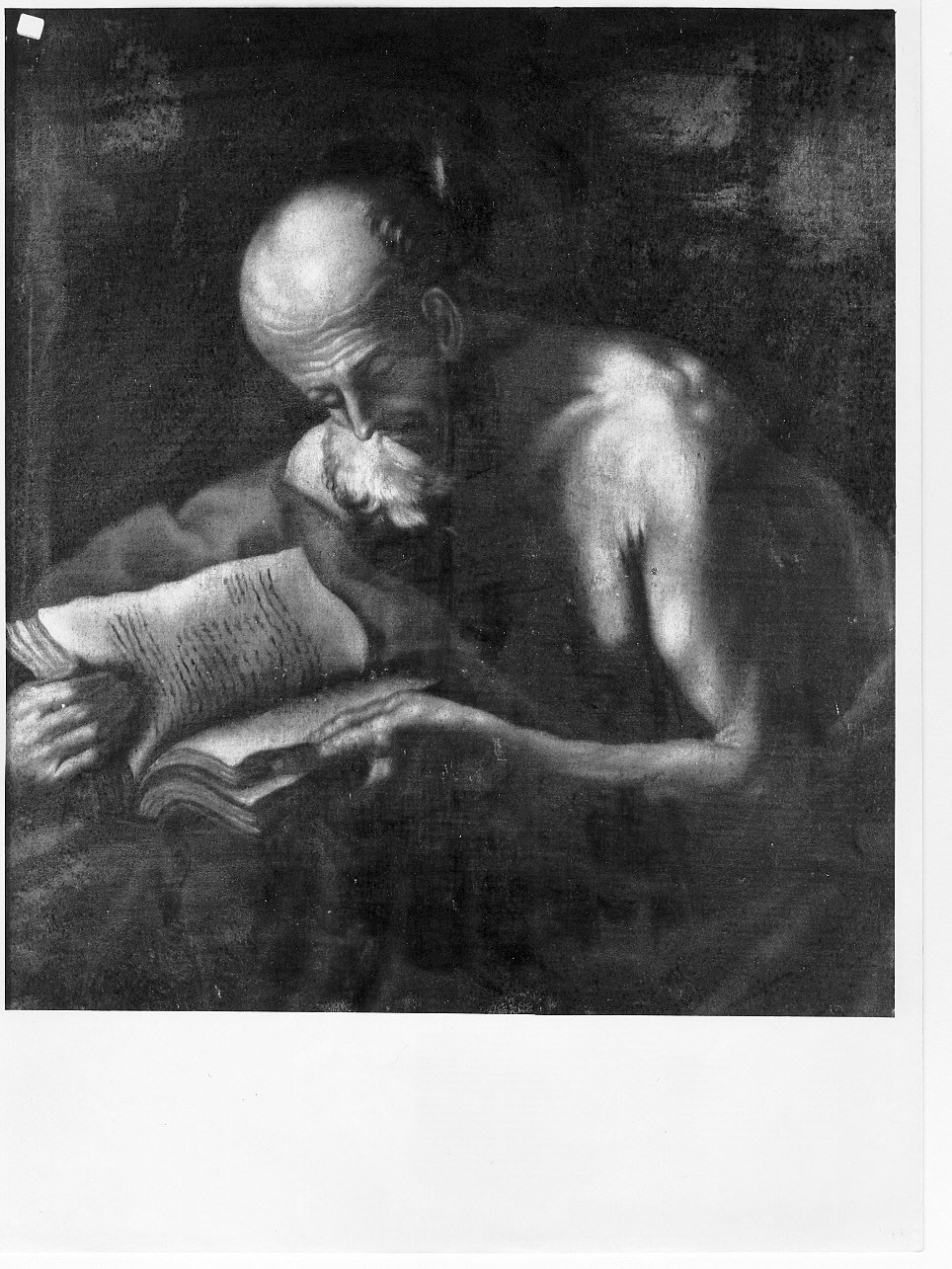 San Girolamo (dipinto, opera isolata) - ambito emiliano (prima metà sec. XVII)