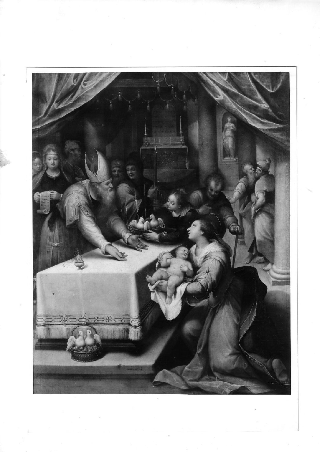 presentazione di Gesù al tempio (dipinto, opera isolata) di Calvaert Denijs (attribuito) (primo quarto sec. XVII)