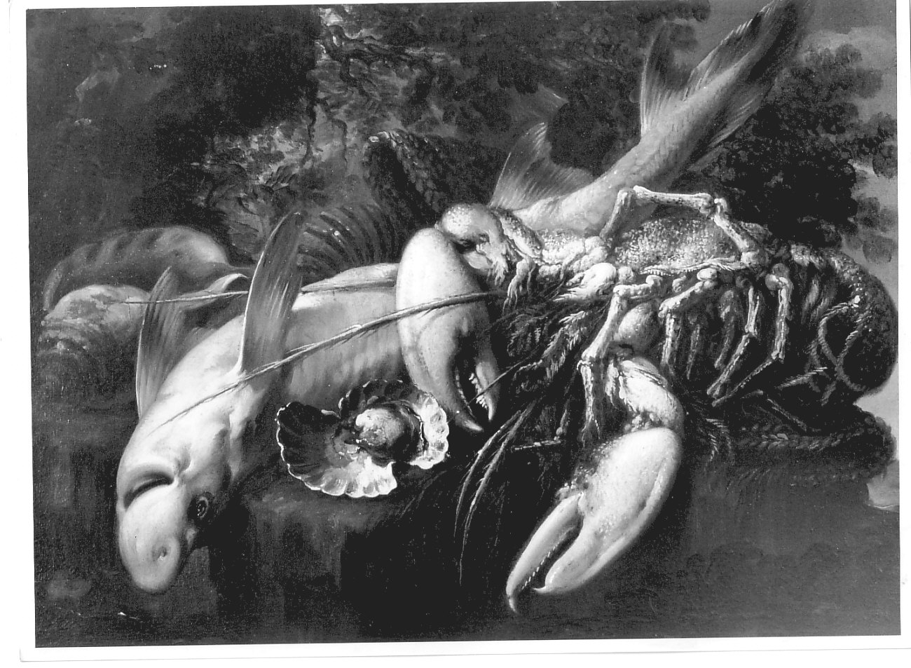 natura morta con pesci (dipinto, pendant) di Boselli Felice (attribuito) (primo quarto sec. XVIII)