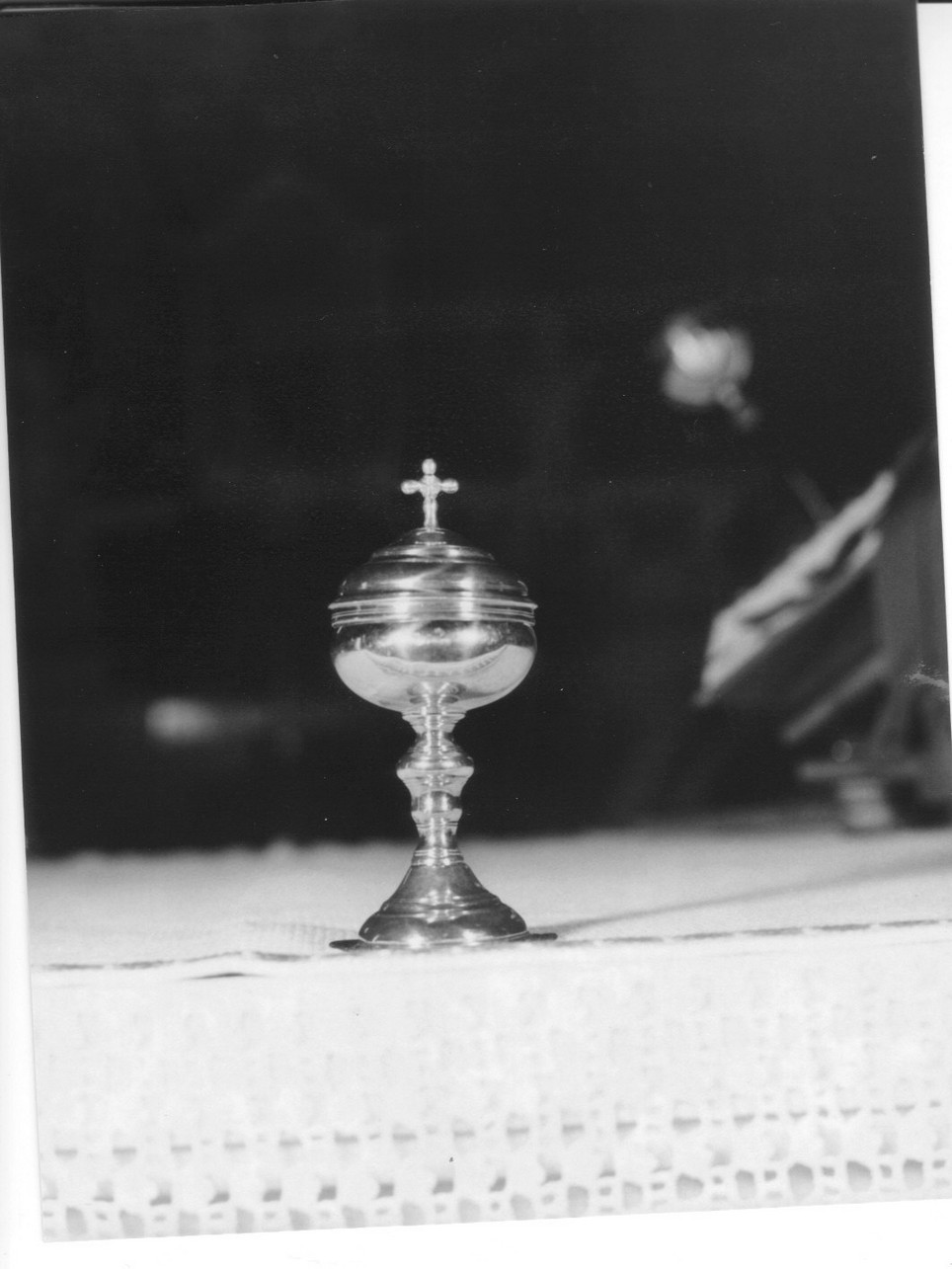 pisside, opera isolata - bottega ligure (sec. XVIII)