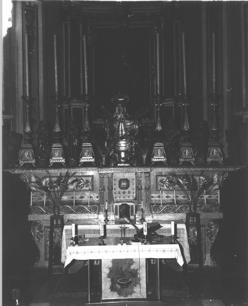 motivi decorativi vegetali/ motivi decorativi a volute/ cigni (altare portatile, insieme) - bottega ligure (inizio sec. XIX)