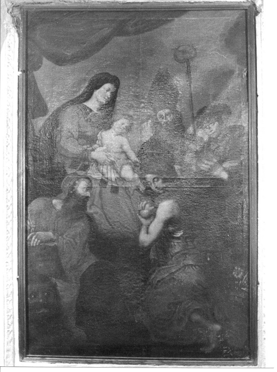 Madonna con Bambino e Santi (dipinto, opera isolata) di Testa Giovanni Agostino (attribuito) (sec. XVII)