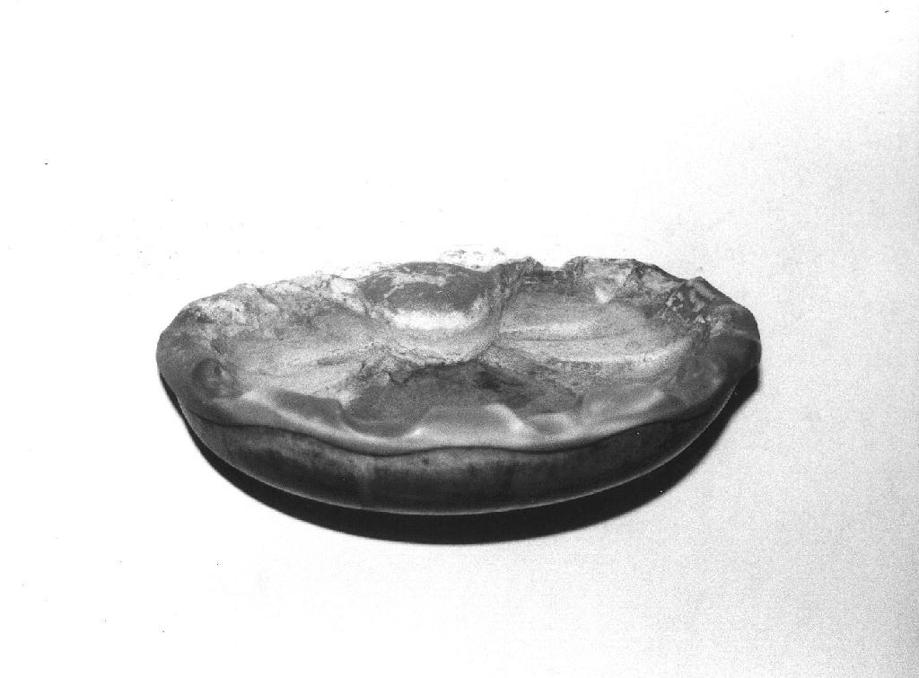 acquasantiera da parete, opera isolata - bottega ligure (sec. XVIII)