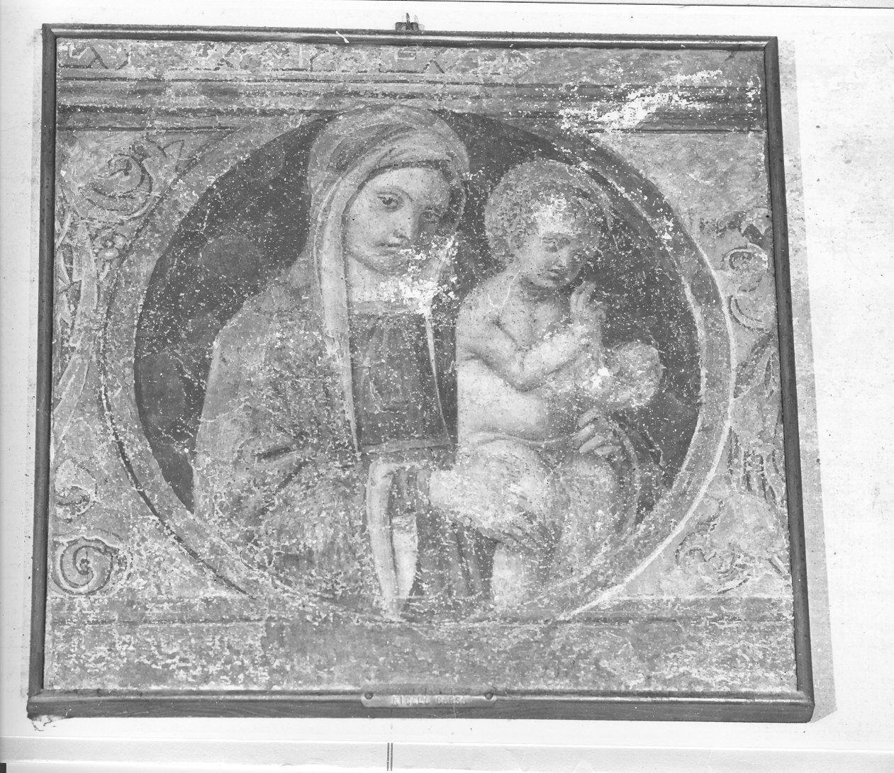 Madonna con Bambino (dipinto, opera isolata) di Nicolò di Lombarduccio detto Corso Nicolò (sec. XVI)
