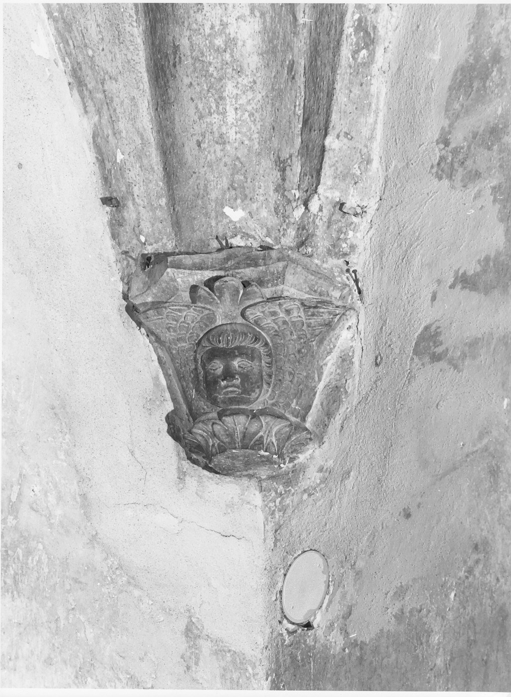 cherubini (peduccio - angolare, serie) - bottega ligure (fine sec. XV)