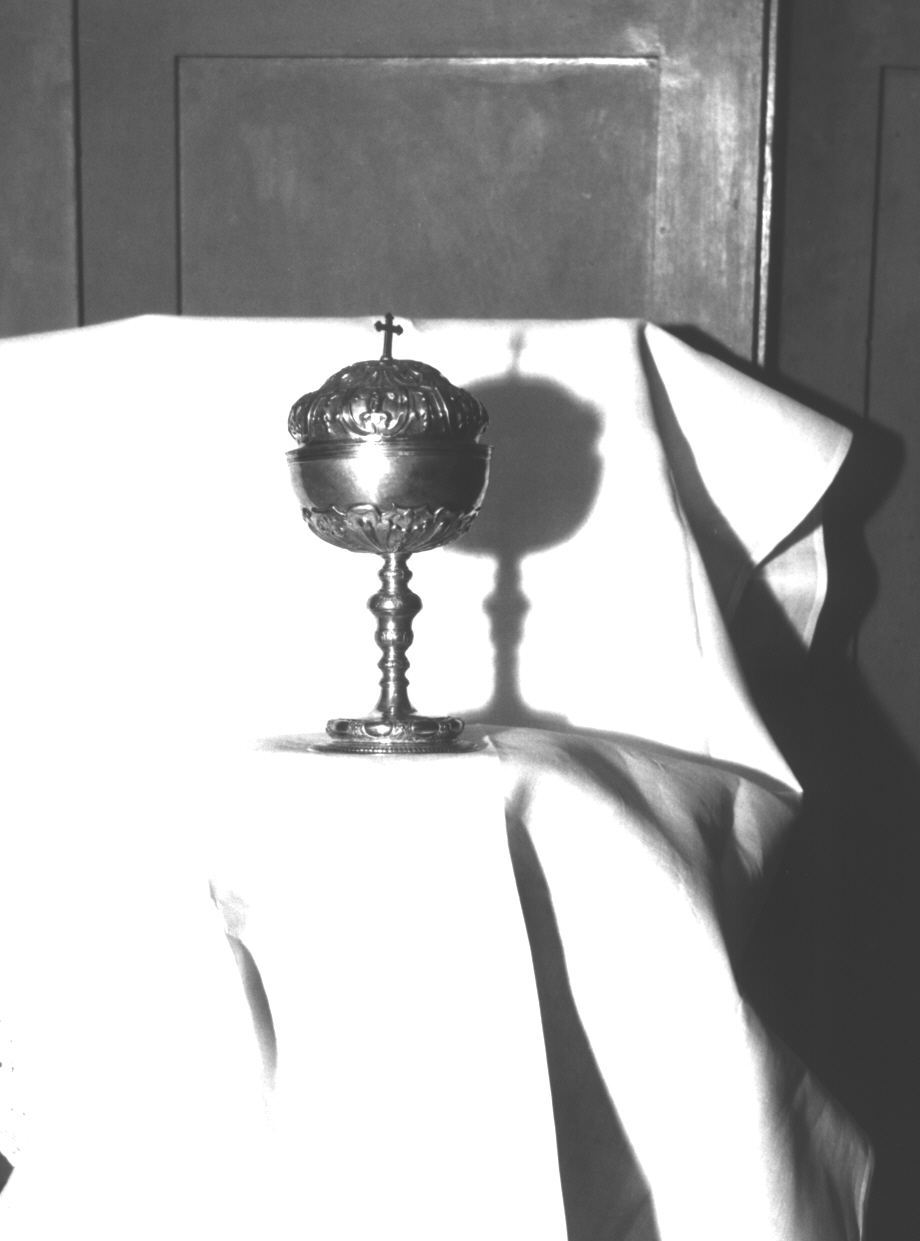 motivi decorativi a dentelli/ motivi decorativi geometrici e vegetali/ fiori (pisside, opera isolata) - bottega ligure (fine/inizio secc. XVIII/ XIX)