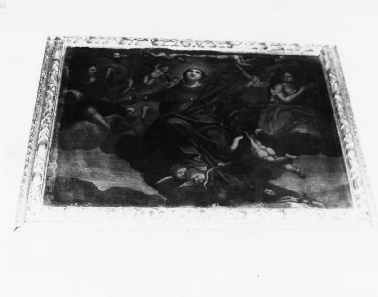 assunzione della Madonna (dipinto, opera isolata) - manifattura ligure (seconda metà sec. XVII)