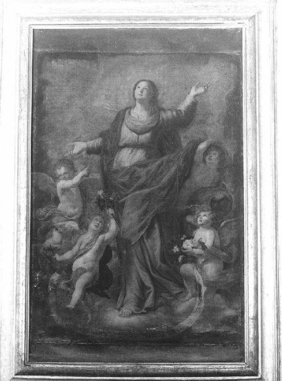 MADONNA ASSUNTA (dipinto, opera isolata) - ambito italiano (prima metà sec. XVIII)