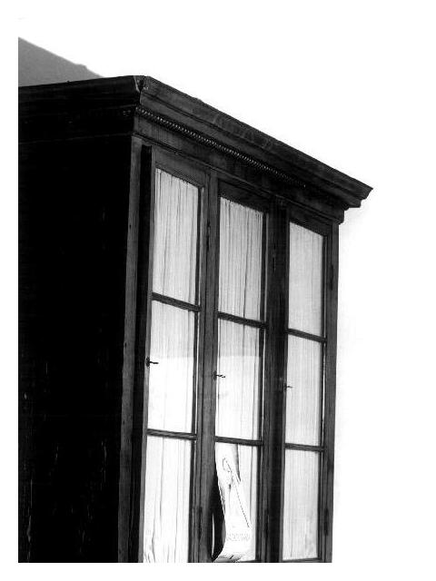 armadio, opera isolata - PRODUZIONE LIGURE (metà sec. XIX)