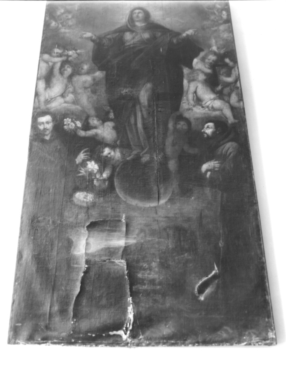 Immacolata Concezione tra Sant'Antonio da Padova e San Francesco d'Assisi (dipinto, opera isolata) di De Ferrari Orazio (metà sec. XVII)