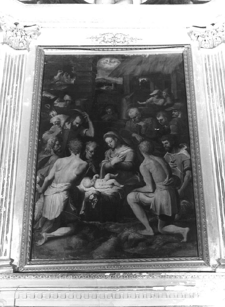 natività di Gesù (dipinto, elemento d'insieme) di Semino Andrea (terzo quarto sec. XVI)