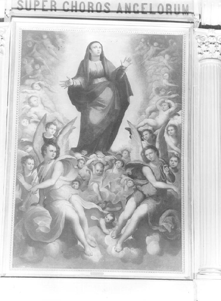 assunzione della Madonna (dipinto, opera isolata) di Semino Andrea (attribuito), Semino Ottavio (attribuito) (seconda metà sec. XVI)