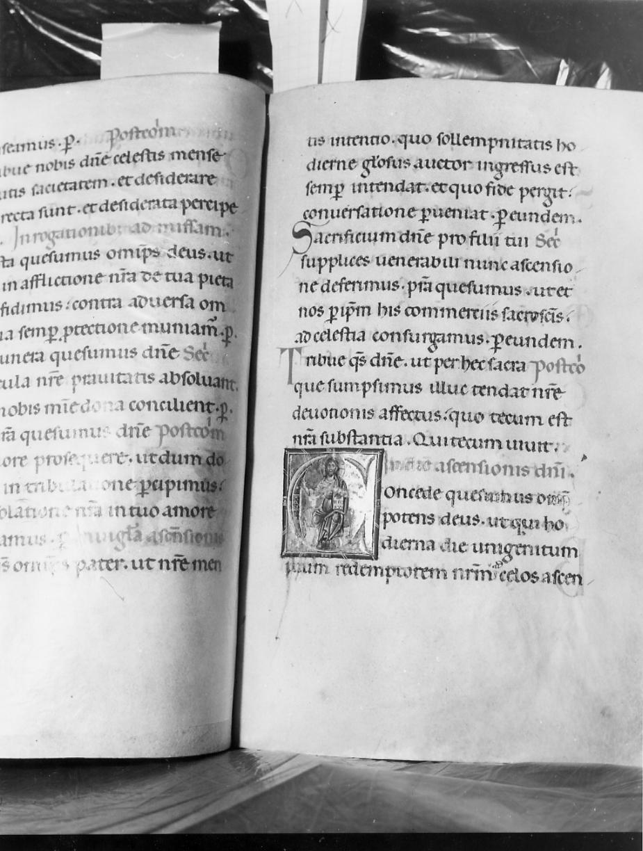 manoscritto, insieme - ambito italiano (inizio sec. XIV)