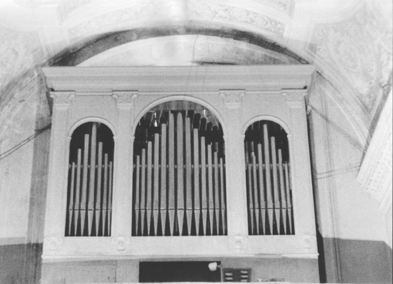 cassa d'organo, opera isolata di Tagliafico Domenico (sec. XIX)